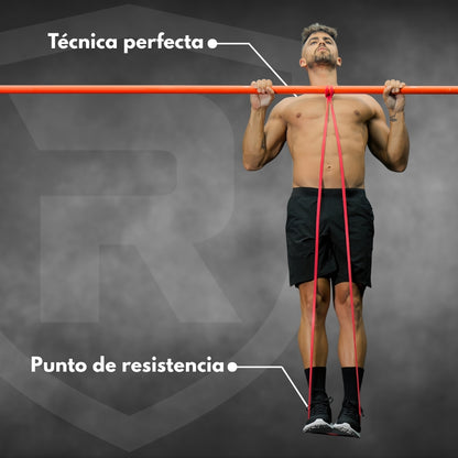 Ligas de Resistencia | Pack con 5 Piezas